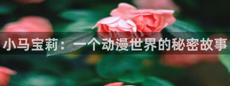 动漫男女羞羞漫画：小马宝莉：一个动漫世界的秘密故事